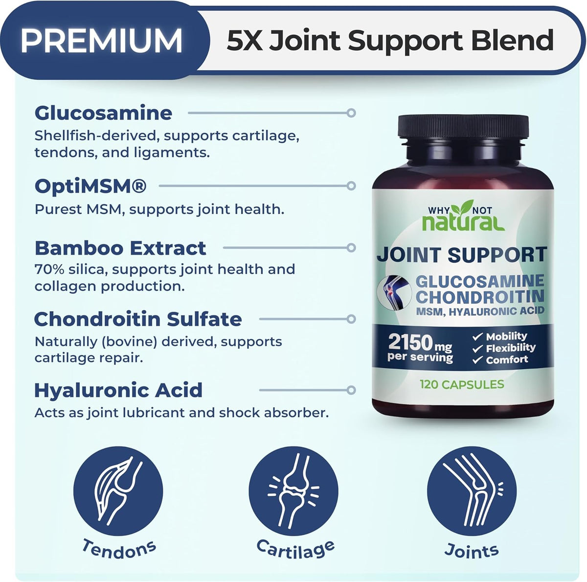 Glucosamine & MSM Joint Support